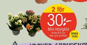 EKO Mini höstglöd erbjuda