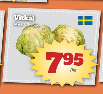 Vitkål