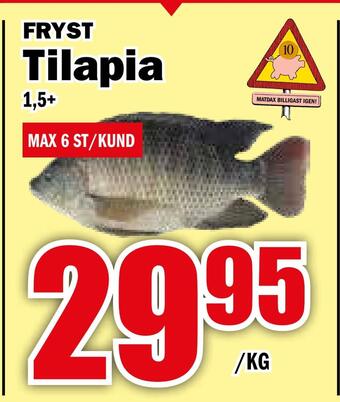 Matdax Tilapia erbjuda