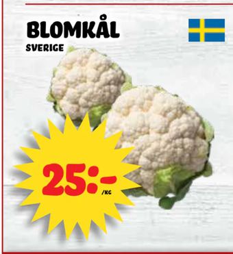 Nelins Blomkål erbjuda