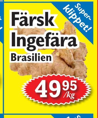 T-jarlen Färsk ingefära erbjuda