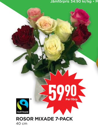 Willys Hemma Rosor mixade 7-pack erbjuda