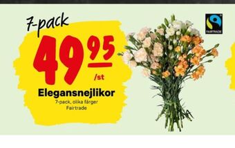 City Gross Nergi blommor erbjuda