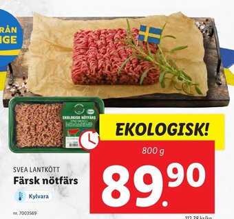 Lidl Färsk nötfärs erbjuda