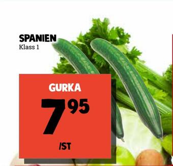 MatArket Gurka erbjuda
