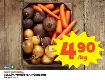 Gul Lök/Morötter/Rödbetor