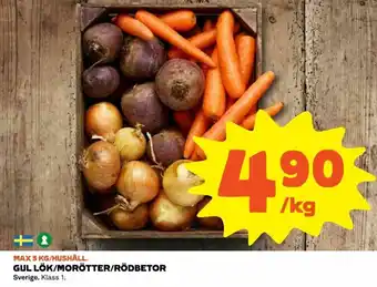 Gul Lök/Morötter/Rödbetor