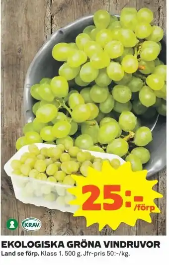 Ekologiska Gröna Vindruvor 500g