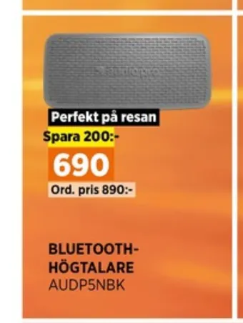 Power Audio pro högtalare erbjuda