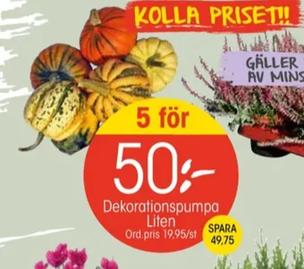 EKO Springhill plantor erbjuda