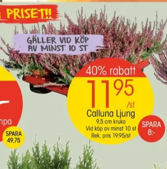 EKO Springhill plantor erbjuda