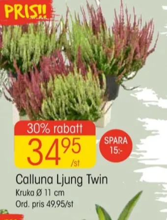 EKO Springhill plantor erbjuda