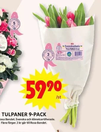 ICA Maxi TULPANER 9-PACK erbjuda