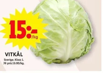 ICA Maxi VITKÅL erbjuda