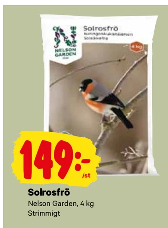 City Gross Solrosfrö erbjuda