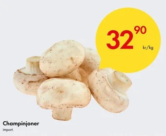 Snabbgross Champinjoner erbjuda