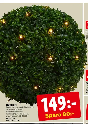 Jem&Fix Buxbom erbjuda