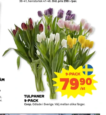 Stora Coop Tulpaner 9-pack erbjuda