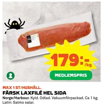 Färsk laxfilé hel sida
