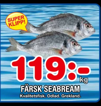 Nya Pulsen Färsk seabream erbjuda