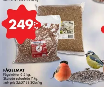 ÖoB Nature solrosfrön erbjuda