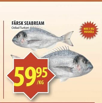 Matvärlden Tensta Färsk seabream erbjuda