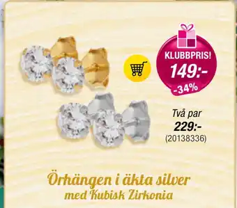 Guldfynd Örhängen i äkta silver erbjuda