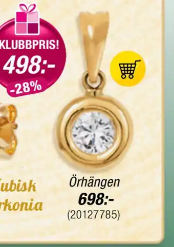 Guldfynd Örhängen erbjuda