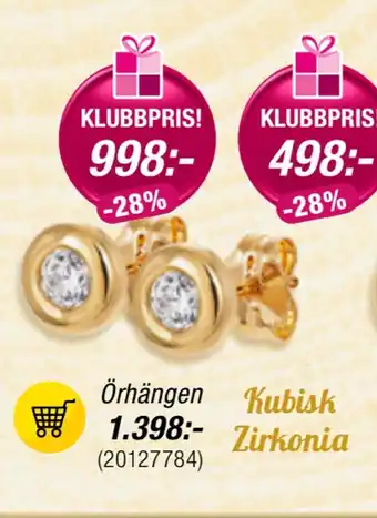 Guldfynd Örhängen erbjuda