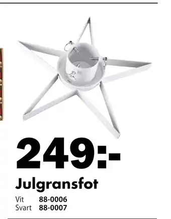 Julgransfot