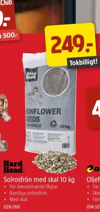 Jula Hard head solrosfrön erbjuda