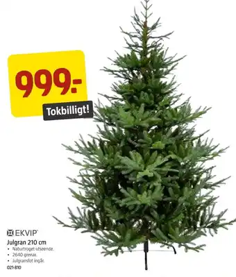 Jula Ekvip julgran erbjuda