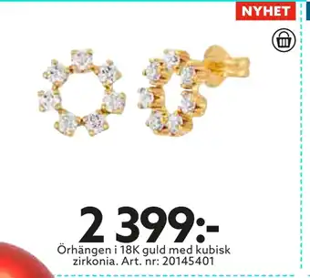 Albrekts Guld Örhängen i 18k guld med kubisk zirkonia erbjuda