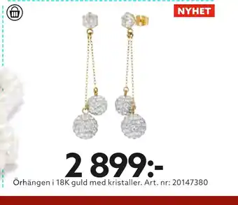 Albrekts Guld Örhängen i 18k guld med kristaller erbjuda