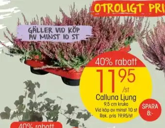 EKO Beslag design plantor erbjuda