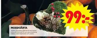 ICA Maxi Blomsterboda gravdekorationer erbjuda