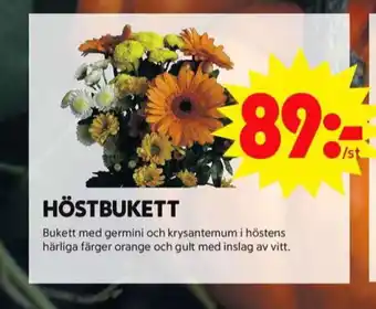 ICA Maxi Blomsterboda blommor erbjuda