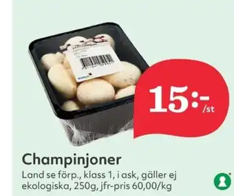 Hemköp Champinjoner erbjuda