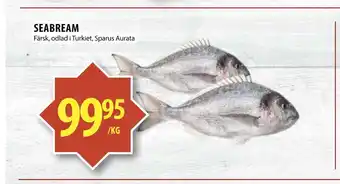 Matvärlden Tensta Seabream erbjuda