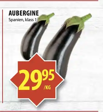 Matvärlden Tensta Aubergine erbjuda