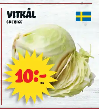 Vitkål