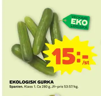 Stora Coop Ekologisk gurka erbjuda