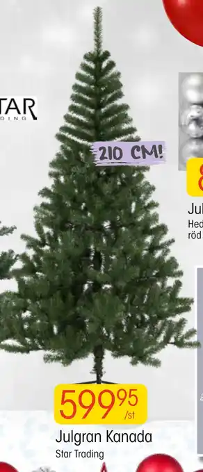 EKO Julgran kanada erbjuda