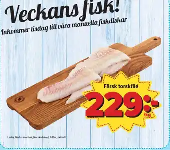 Östenssons Leröy torskfilé erbjuda