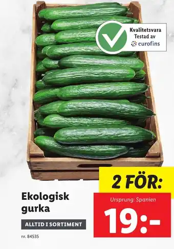 Lidl Ekologisk gurka erbjuda