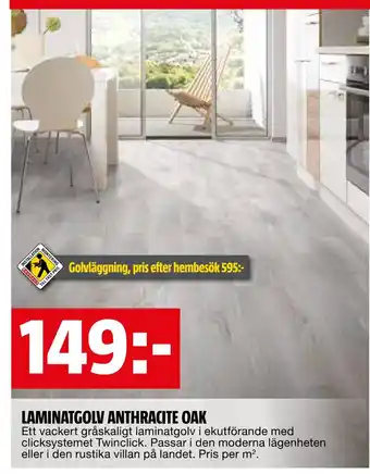 Bauhaus Laminatgolv anthracite oak erbjuda