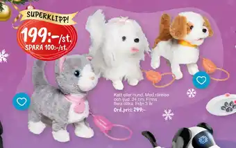 Leklust Katt eller hund erbjuda
