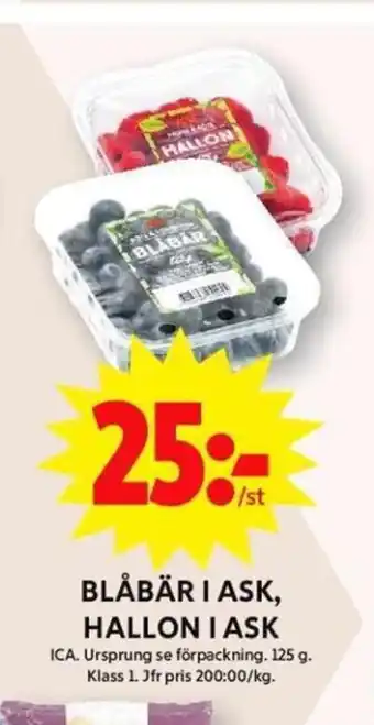 ICA Maxi BLÅBÄR I ASK, HALLON I ASK erbjuda