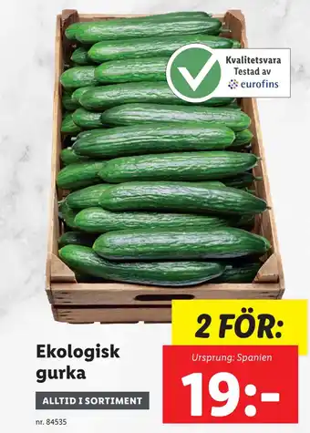 Lidl Ekologisk gurka erbjuda