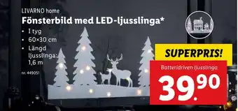 Lidl Fönsterbild med led-ljusslinga erbjuda